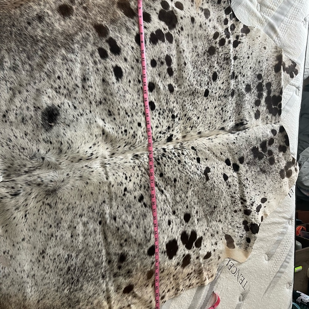 Spotted Cowhide Rug - Picture 5 of 6